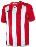 10er Trikotsatz Joma Pisa 12  100% Polyester Kinder